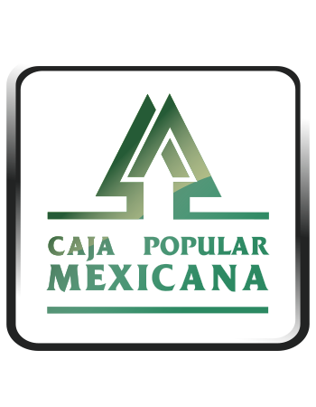 Plataforma de Aprendizaje para Dirigentes